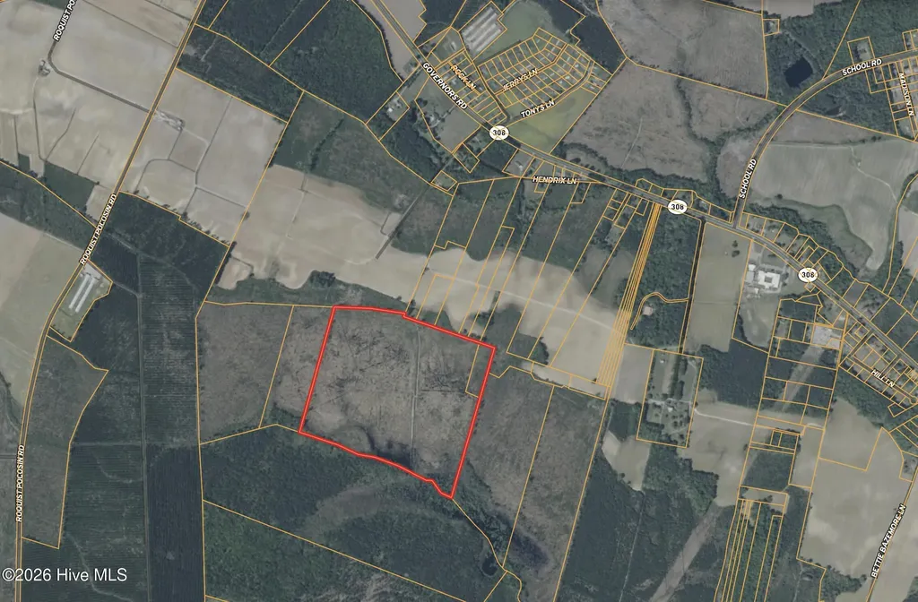 943 Off 943 Governors Road Nc 308 Road Windsor NC 27983