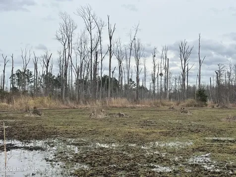 943 Off 943 Governors Road Nc 308 Road Windsor NC 27983