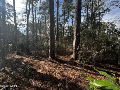 0 Fairwinds Drive Oriental NC 28571