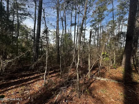 0 Fairwinds Drive Oriental NC 28571