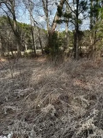 362 Sandy Cross Road Belvidere NC 27919