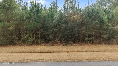 Lot 17 Bailey Pointe Drive Belhaven NC 27810
