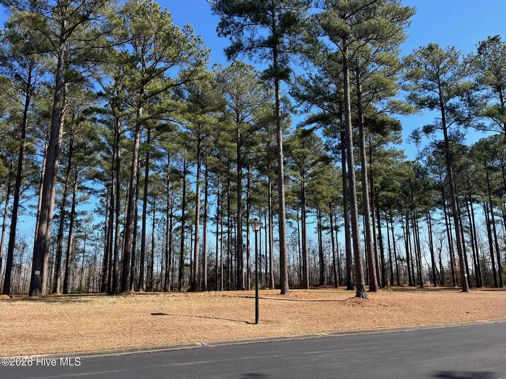 23 Bald Head Island Court S Oriental NC 28571
