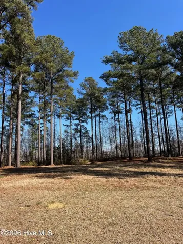 23 Bald Head Island Court S Oriental NC 28571