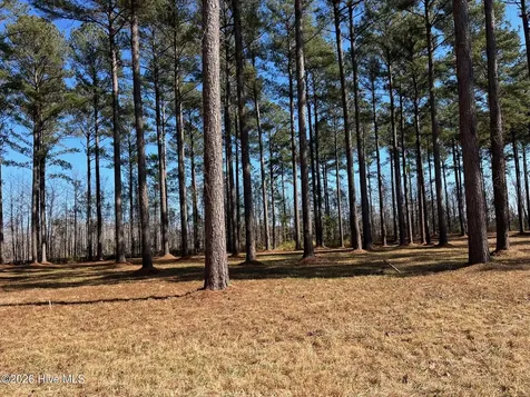 40 Currituck Court Oriental NC 28571
