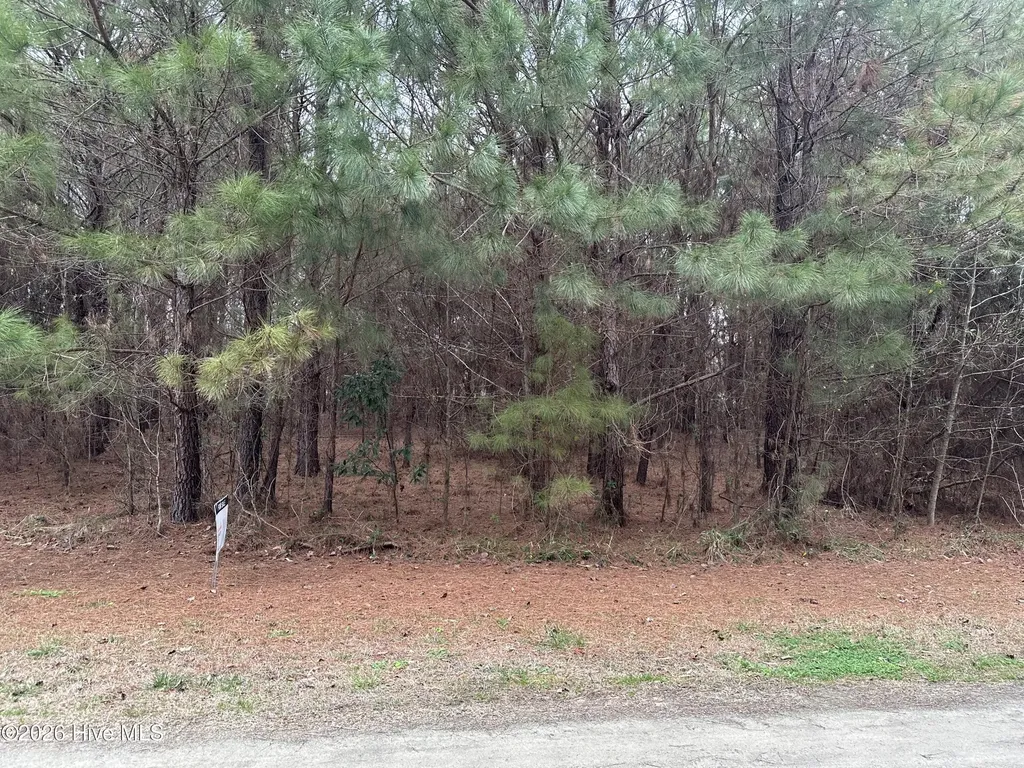 Near 51 Gores Drive Clarendon NC 28432
