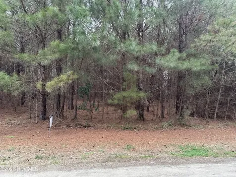 Near 51 Gores Drive Clarendon NC 28432