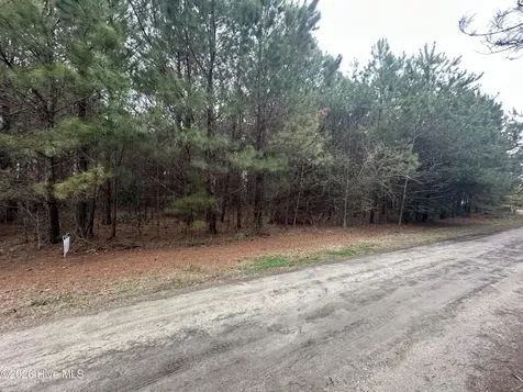 Near 51 Gores Drive Clarendon NC 28432