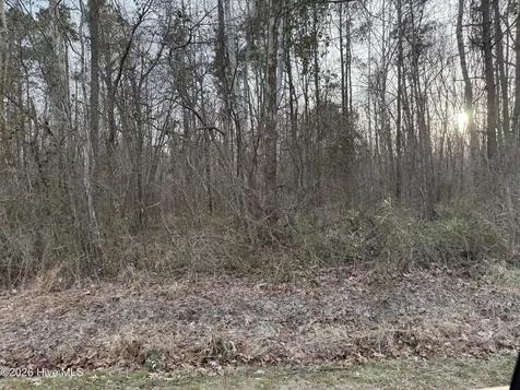 Lot 14 Beasley Road Roper NC 27970