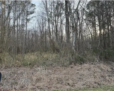 Lot 14 Beasley Road Roper NC 27970