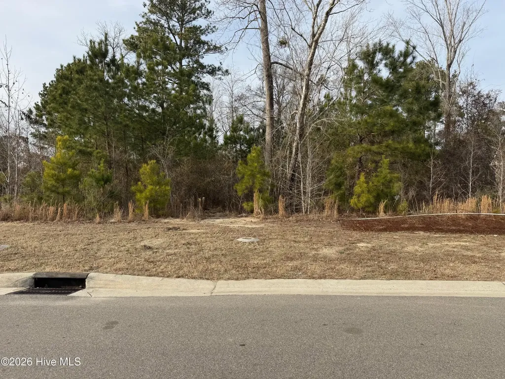 3422 Belle Meade Way NE Leland NC 28451