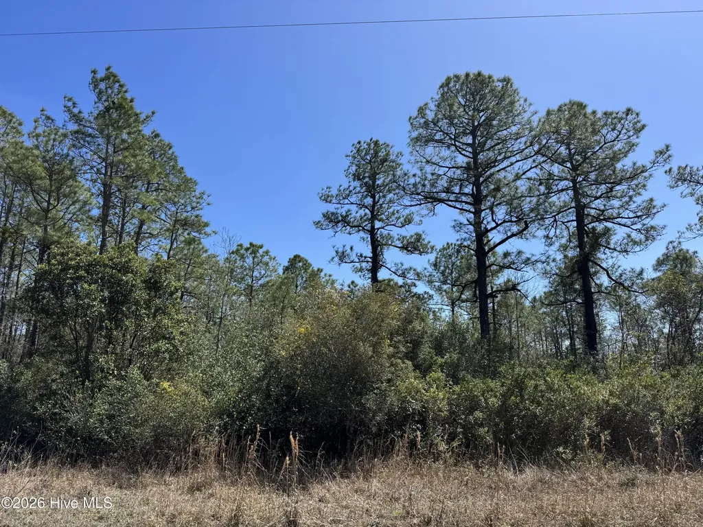 Lot 21 New Hanover Road Boiling Spring Lakes NC 28461