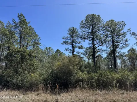 Lot 21 New Hanover Road Boiling Spring Lakes NC 28461
