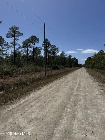 Lot 21 New Hanover Road Boiling Spring Lakes NC 28461