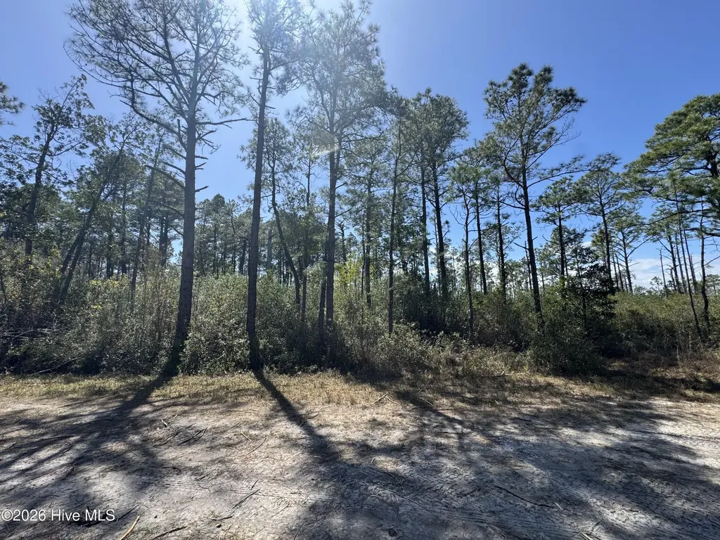 Lot 490 Craven Street Boiling Spring Lakes NC 28461