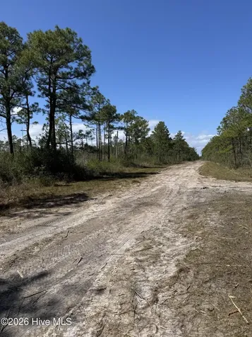 Lot 490 Craven Street Boiling Spring Lakes NC 28461