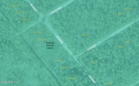 Lot 490 Craven Street Boiling Spring Lakes NC 28461