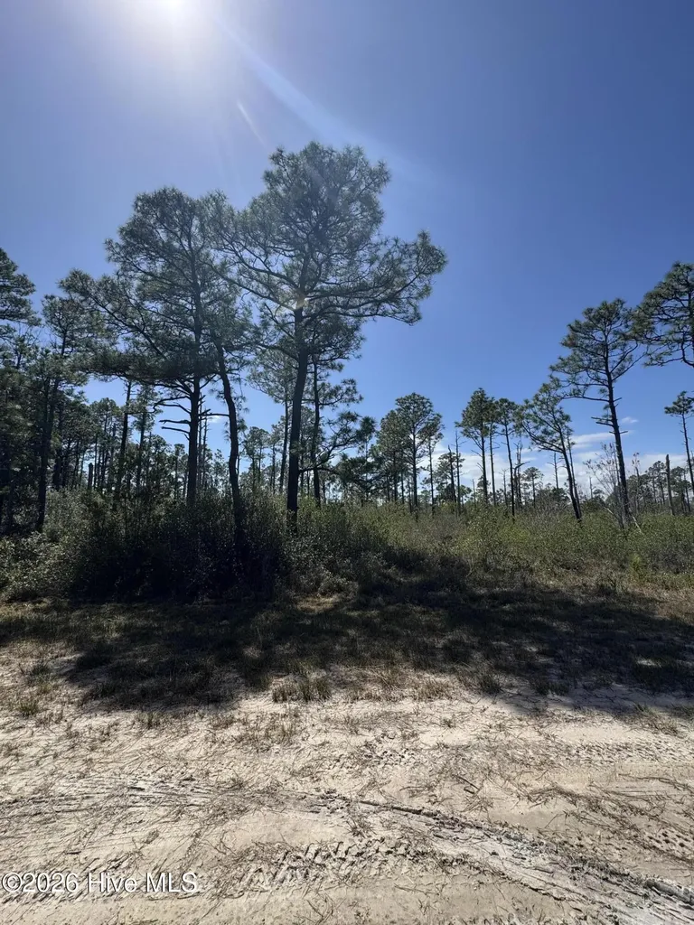 Lot 489 Craven Street Boiling Spring Lakes NC 28461