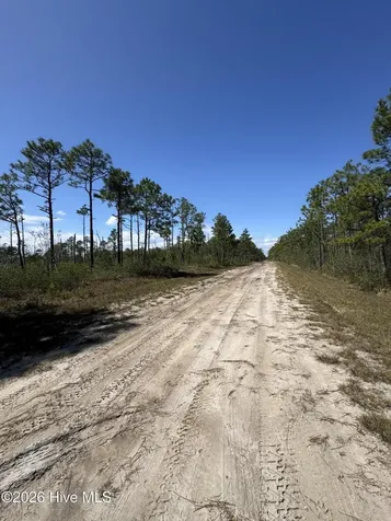 Lot 489 Craven Street Boiling Spring Lakes NC 28461