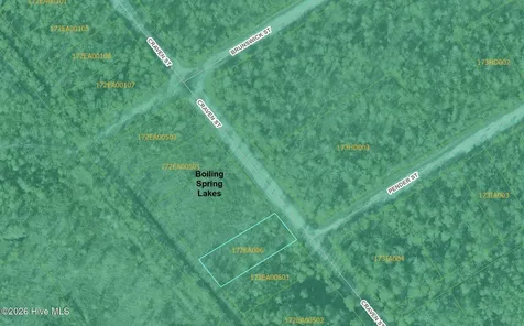 Lot 489 Craven Street Boiling Spring Lakes NC 28461