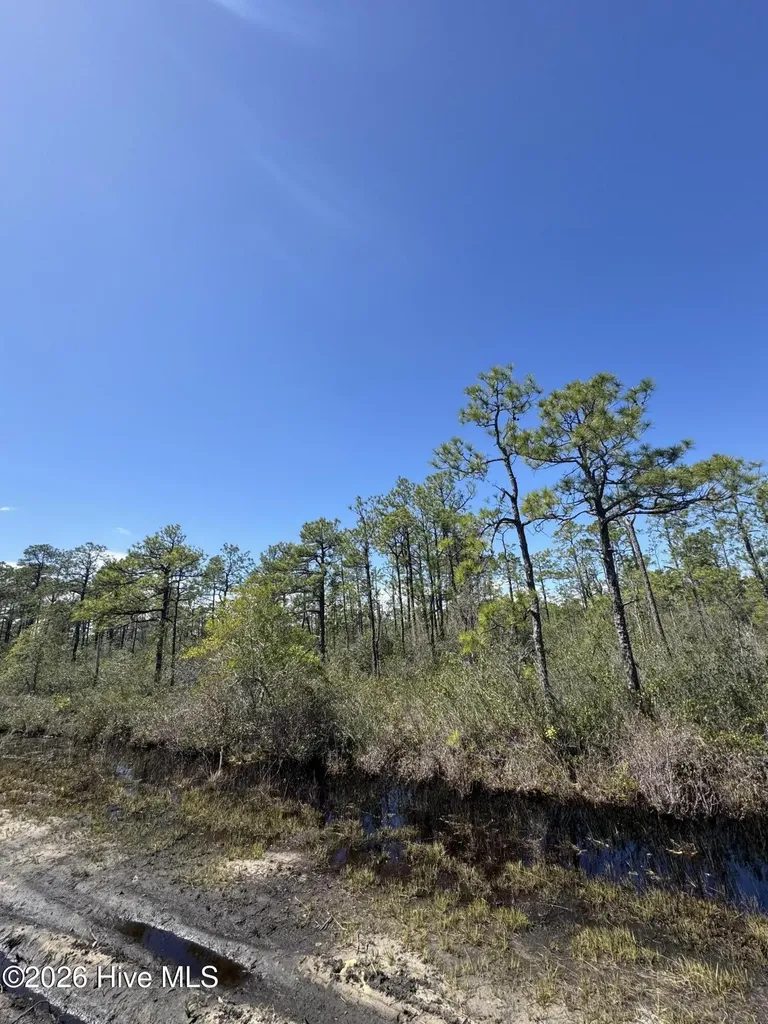 Lot 316 Columbus Road Boiling Spring Lakes NC 28461