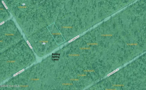 Lot 316 Columbus Road Boiling Spring Lakes NC 28461
