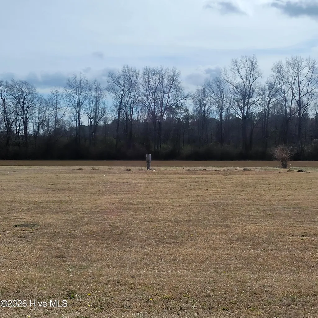 Willard NC 28478