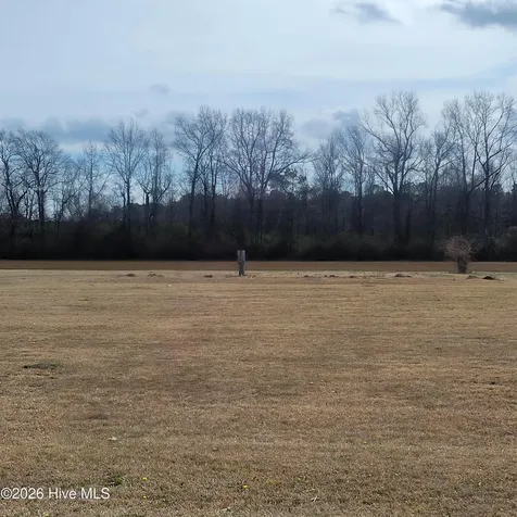 Willard NC 28478