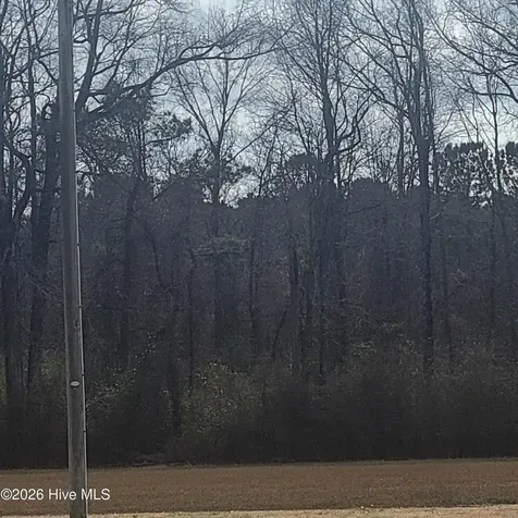 Willard NC 28478