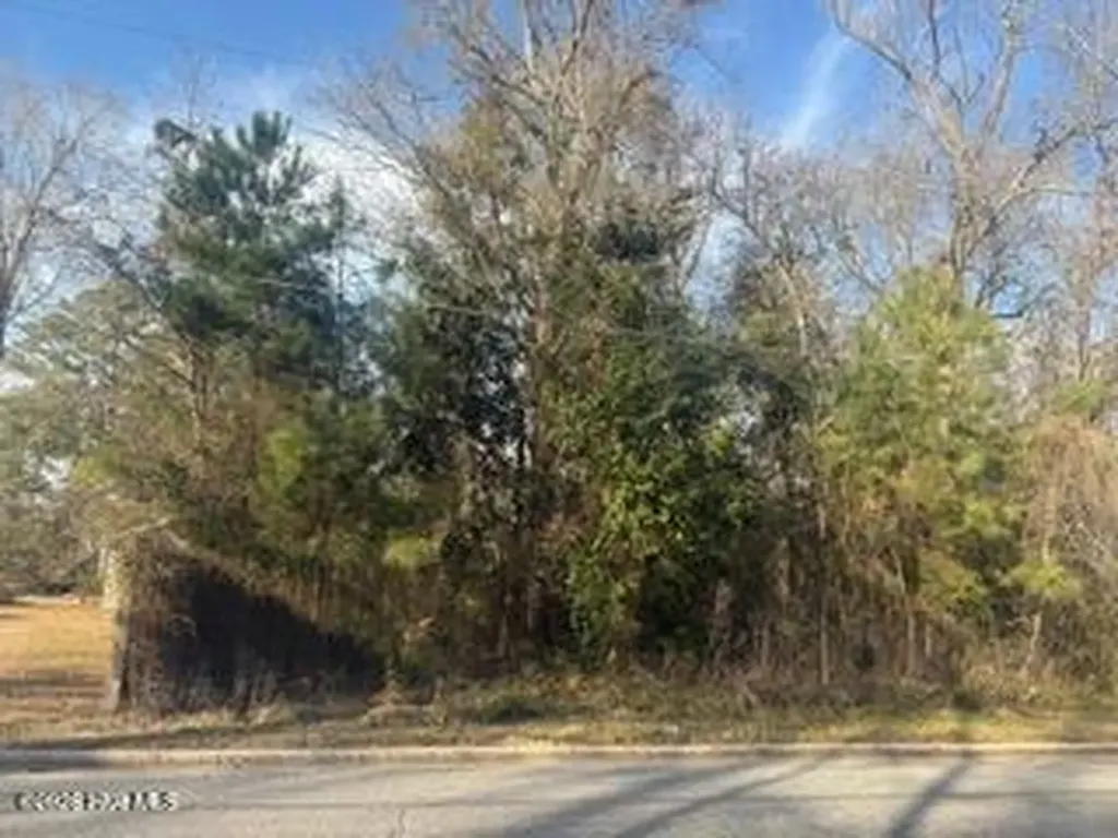 002224 E Near 217 E Clay Street Whiteville NC 28472
