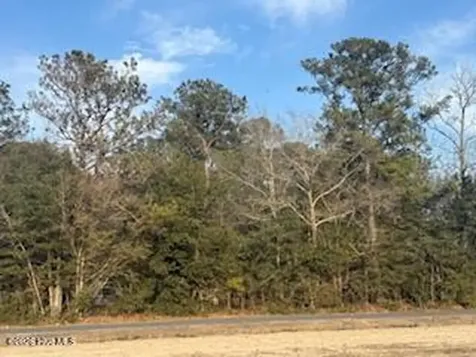 120 Rough Horn Road Evergreen NC 28438