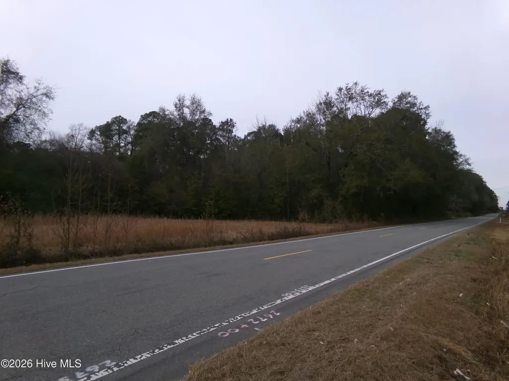 Lot 2 Ivanhoe Road Ivanhoe NC 28447