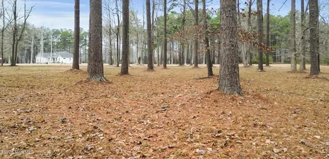 117 Southern Plantation Drive S Oriental NC 28571