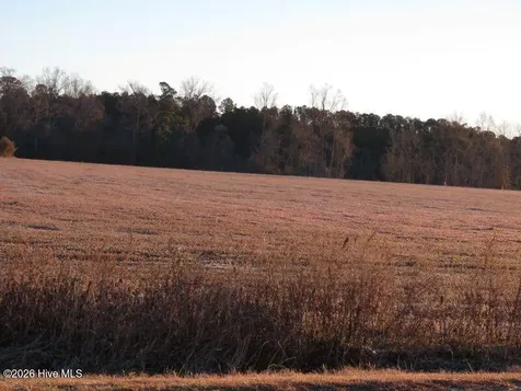 Tract 2 E Raynham Road Fairmont NC 28340