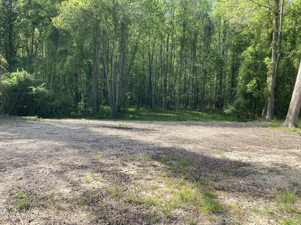 316 Bayview Road Bayview NC 27808