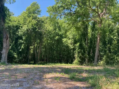 316 Bayview Road Bayview NC 27808