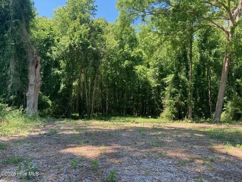 316 Bayview Road Bayview NC 27808