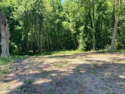 316 Bayview Road Bayview NC 27808
