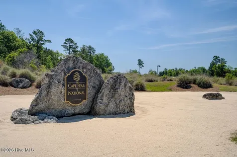 3451 Bitterns Branch Leland NC 28451
