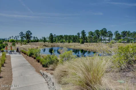 3451 Bitterns Branch Leland NC 28451