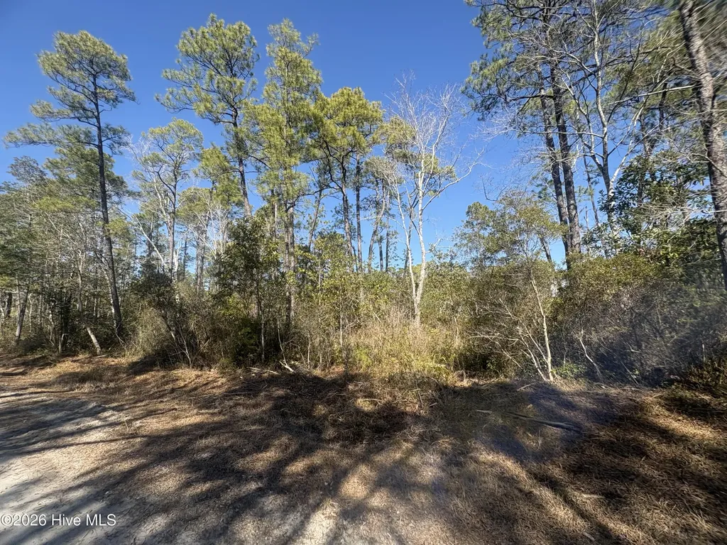 516 Barclay Road Boiling Spring Lakes NC 28461