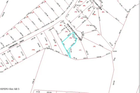 104 Palm Circle Havelock NC 28532