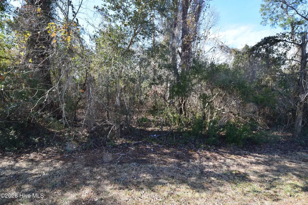 6109 Gondolier Drive New Bern NC 28560