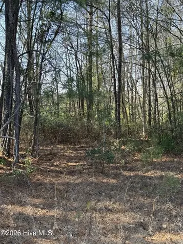 245 Crape Myrtle Lane Whiteville NC 28472
