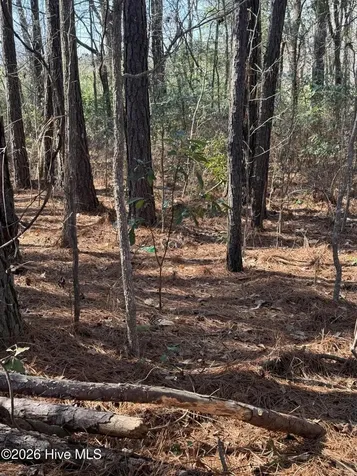 245 Crape Myrtle Lane Whiteville NC 28472