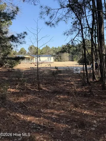 245 Crape Myrtle Lane Whiteville NC 28472