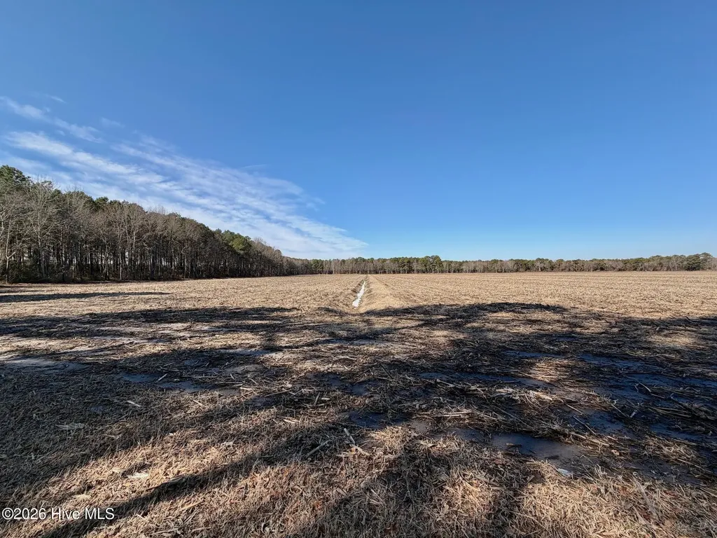 0 Sandy Ridge Road Tyner NC 27980