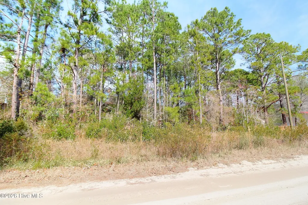 2890 Bird Drive SW Shallotte NC 28470