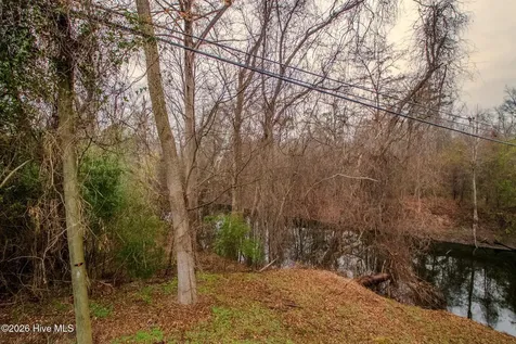 Lot 4 E Trent Street Trenton NC 28585