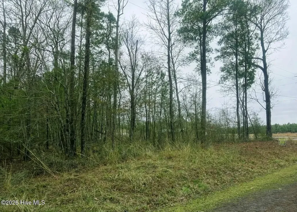 Lots 35-36 Choctaw Trail Hertford NC 27944